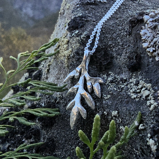 Fjellflora 2 - anheng stort