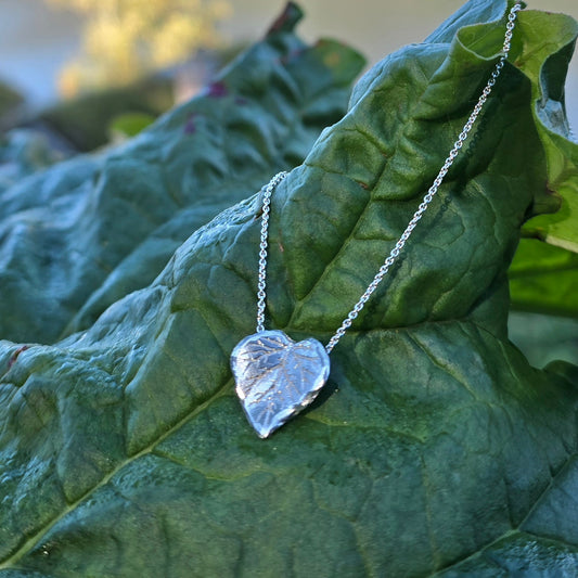 Rabarbra mellomstort